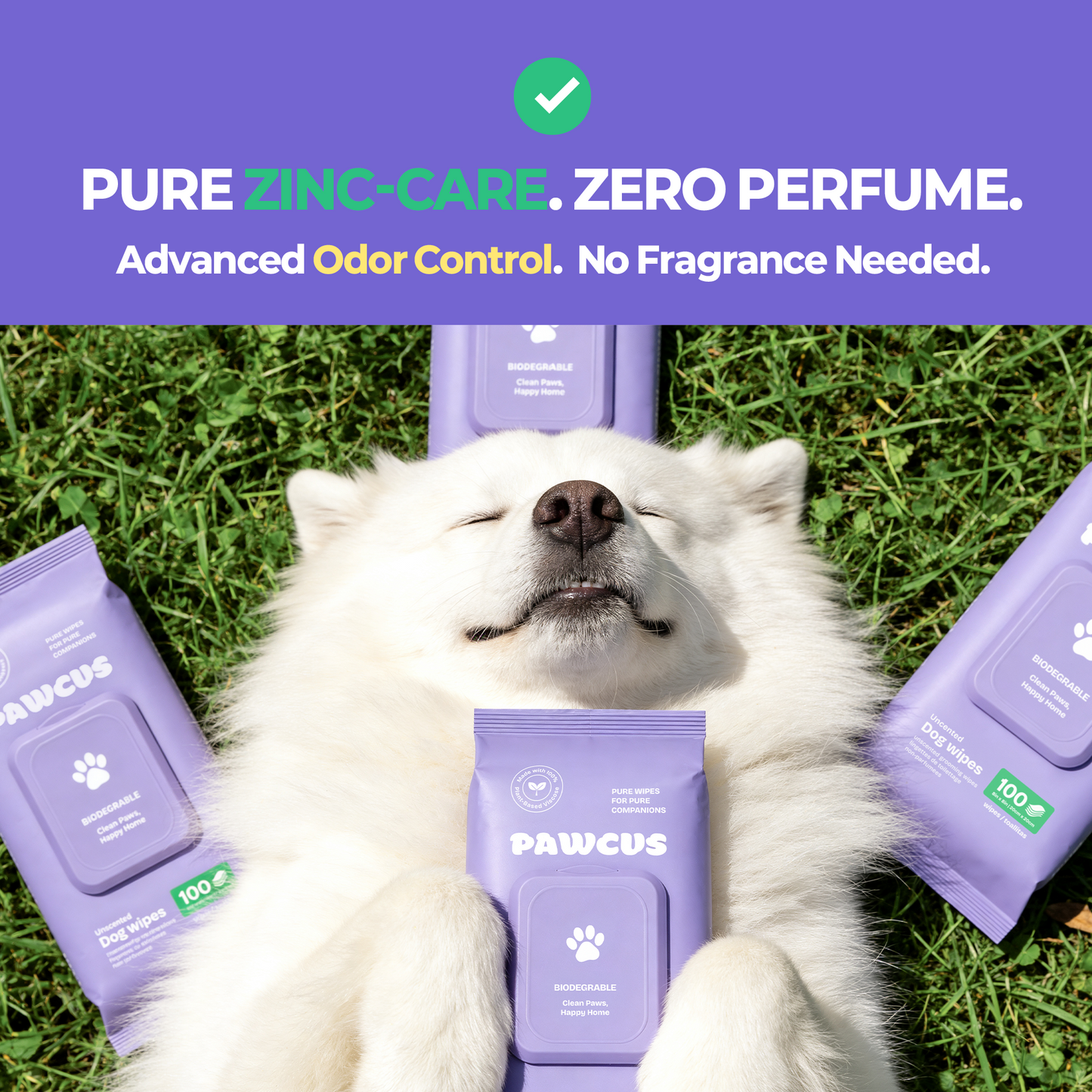 PAWCUS Dog Wipes - 100ct Premium Pack (1 Pack x 100) | 100% Plant-Based Viscose