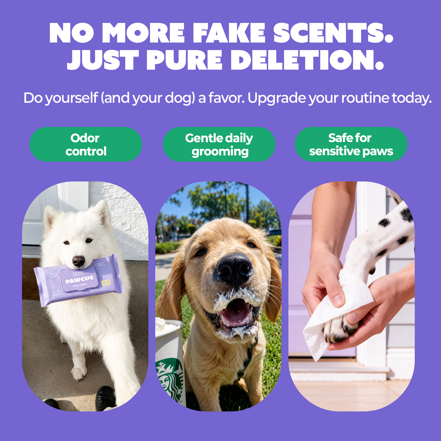 PAWCUS Dog Wipes - 100ct Premium Pack (1 Pack x 100) | 100% Plant-Based Viscose